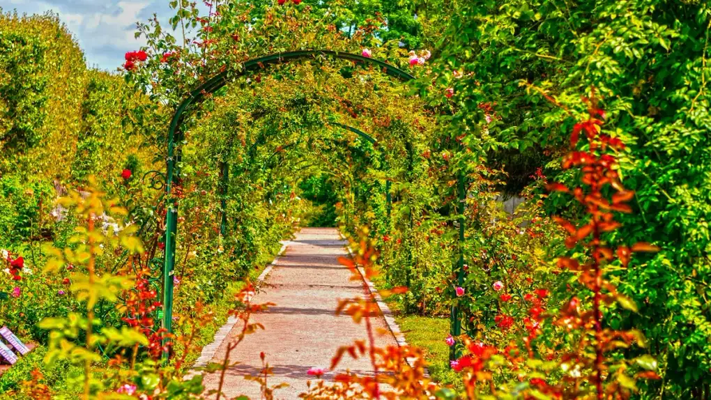 A flowering arch in the Jardin des Plantes in spring
